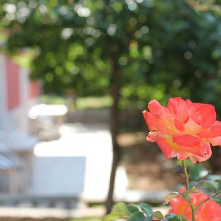 Apartments Toni Trogir Bilik gambar